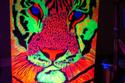 Richard G. Lawrence - Tiger