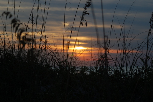 Photography-Night-Sunset in flordia
