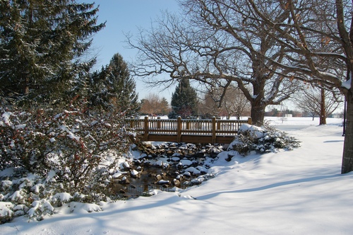 Photography-Landscape-Greenfielld park in winter