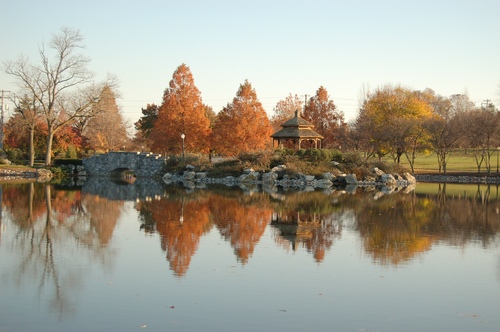 Photography-Landscape-Reflections in the park