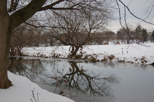 Photography-Nature-Stream along park
