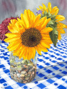 Sunflowers Sunflowers (thumbnail)