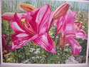 Lush Garden Lillies Lush%20Garden%20Lillies (thumbnail)