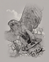 Diagonal%20Hawk%20Sketch (thumbnail)