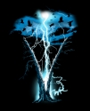 Hawk%20Lightning%20Strike%20Tree (thumbnail)
