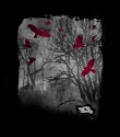 Hawk%20Shadow%20Forest (thumbnail)