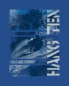 Surfing%20abstract (thumbnail)