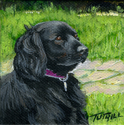Charlie Charlie (thumbnail)