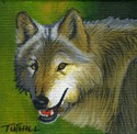 Dixie's Wolf Dixie%27s%20Wolf (thumbnail)