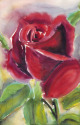 Single Rose #2 Single%20Rose%20%232 (thumbnail)