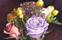 Sunlit Flowers Sunlit%20Flowers (thumbnail)