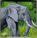 Shelly's Elephant Shelly%27s%20Elephant (thumbnail)