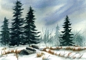 Snowy Field Snowy%20Field (thumbnail)
