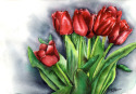 Tulips Tulips (thumbnail)