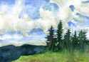 Pine Ridge Pine%20Ridge (thumbnail)