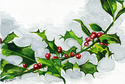 Holly%20Bough (thumbnail)