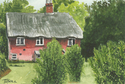 Cottage Back Garden Cottage%20Back%20Garden (thumbnail)