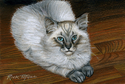 Roscoe Roscoe (thumbnail)