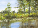 Star Lake 2 Star%20Lake%202 (thumbnail)