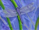 Rita's dragonfly Rita%27s%20dragonfly (thumbnail)