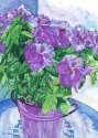 Azalea's In Sunlight Azalea%27s%20In%20Sunlight (thumbnail)