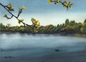 Evening At Green Lake Evening%20At%20Green%20Lake (thumbnail)