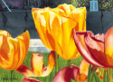 Tulip Abstract Tulip%20Abstract (thumbnail)