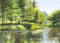 Star Lake Star%20Lake (thumbnail)