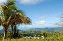 Paramin to Port of Spain