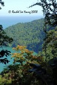 Immortel on the North Coast 2