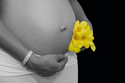 The flower of my heart