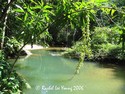Pools at Marianne River