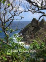 Little Tobago Rocks