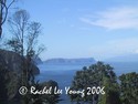 View from the Trail