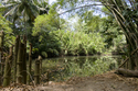 Yarra River, Trinidad