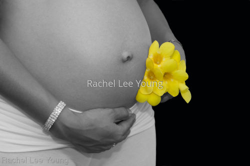 The flower of my heart