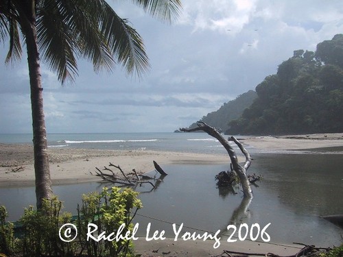 Misty Morning at Grande Riviere