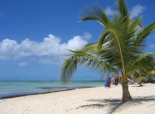 Colours of Tobago