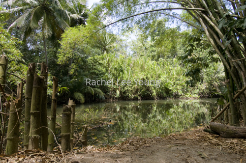 Yarra River, Trinidad