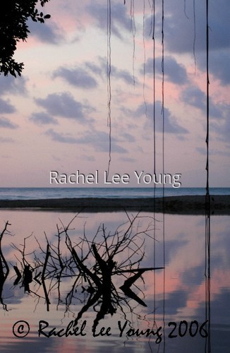 Morning Silhouettes at Grande Riviere