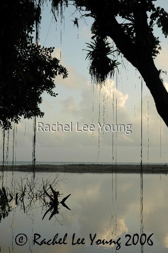 Evening Silhouettes at Grande Riviere