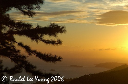 Sunset from the Pines