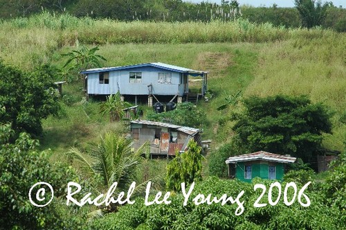 Houses in the Cane
