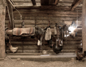 Photography--Color-AnimalsT.C. Barn #2
