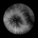 Photography--Black & White-AbstractBig Bang