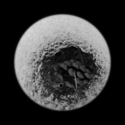 Photography--Black & White-AbstractImpact