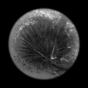 Photography--Black & White-AbstractThe Core Is Dead