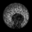 Photography--Black & White-AbstractTranslunar