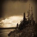 Photography--Black & White-FloralBig Yellow lake