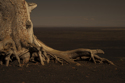 Photography--Color-LandscapeHolding On